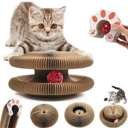 NeatPaws™ Cat Scratch & Play Toy