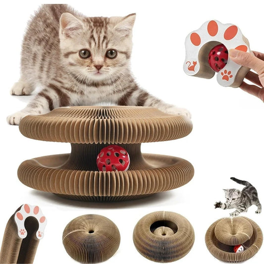 NeatPaws™ Cat Scratch & Play Toy