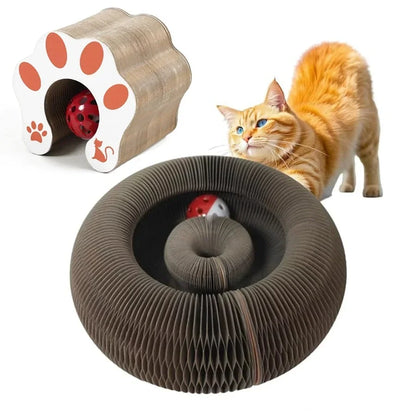 NeatPaws™ Cat Scratch & Play Toy